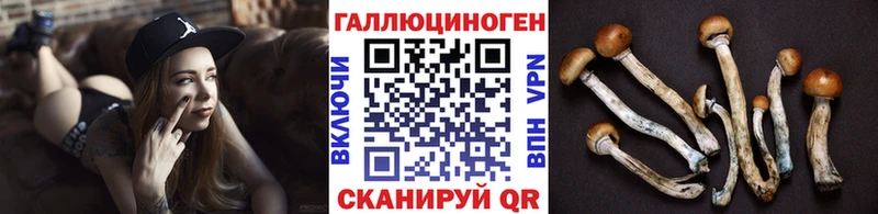 Псилоцибиновые грибы ЛСД  Райчихинск 